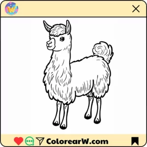 Llama