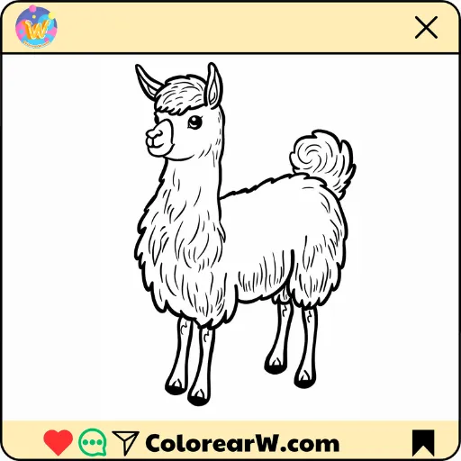 Llama para colorear thumbnail