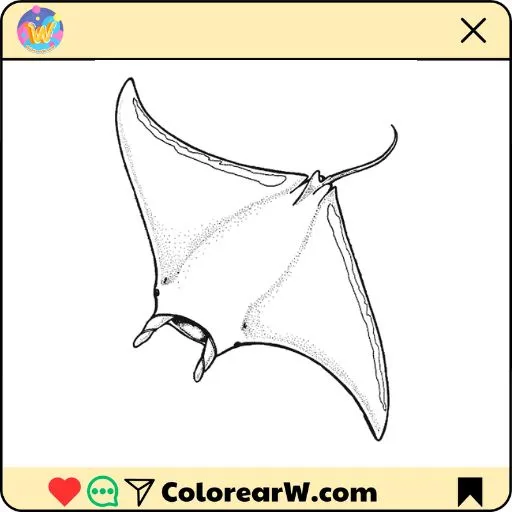 Mantarraya para colorear thumbnail