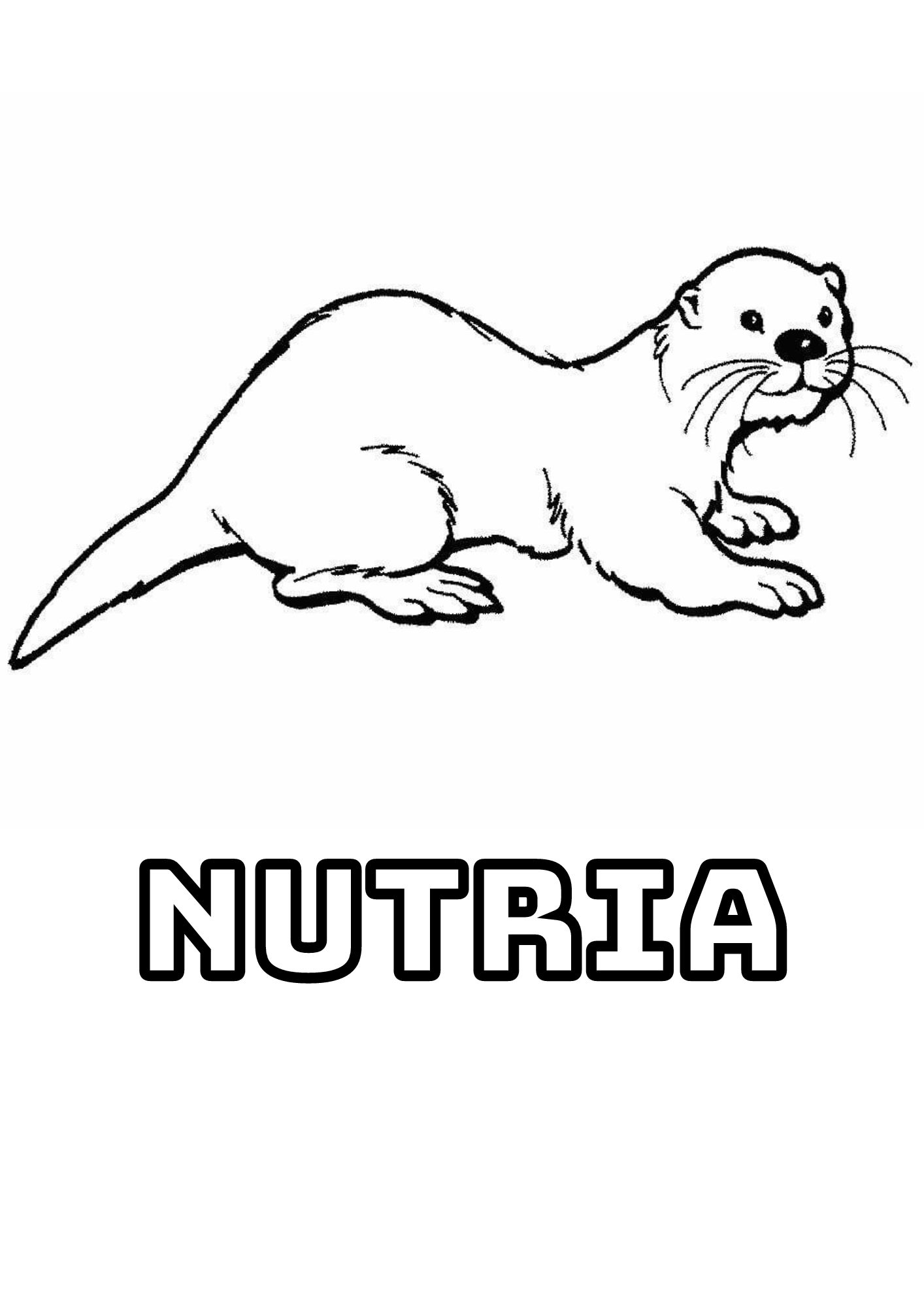 páginas para colorear Nutria para colorear 1 imprimibles gratis