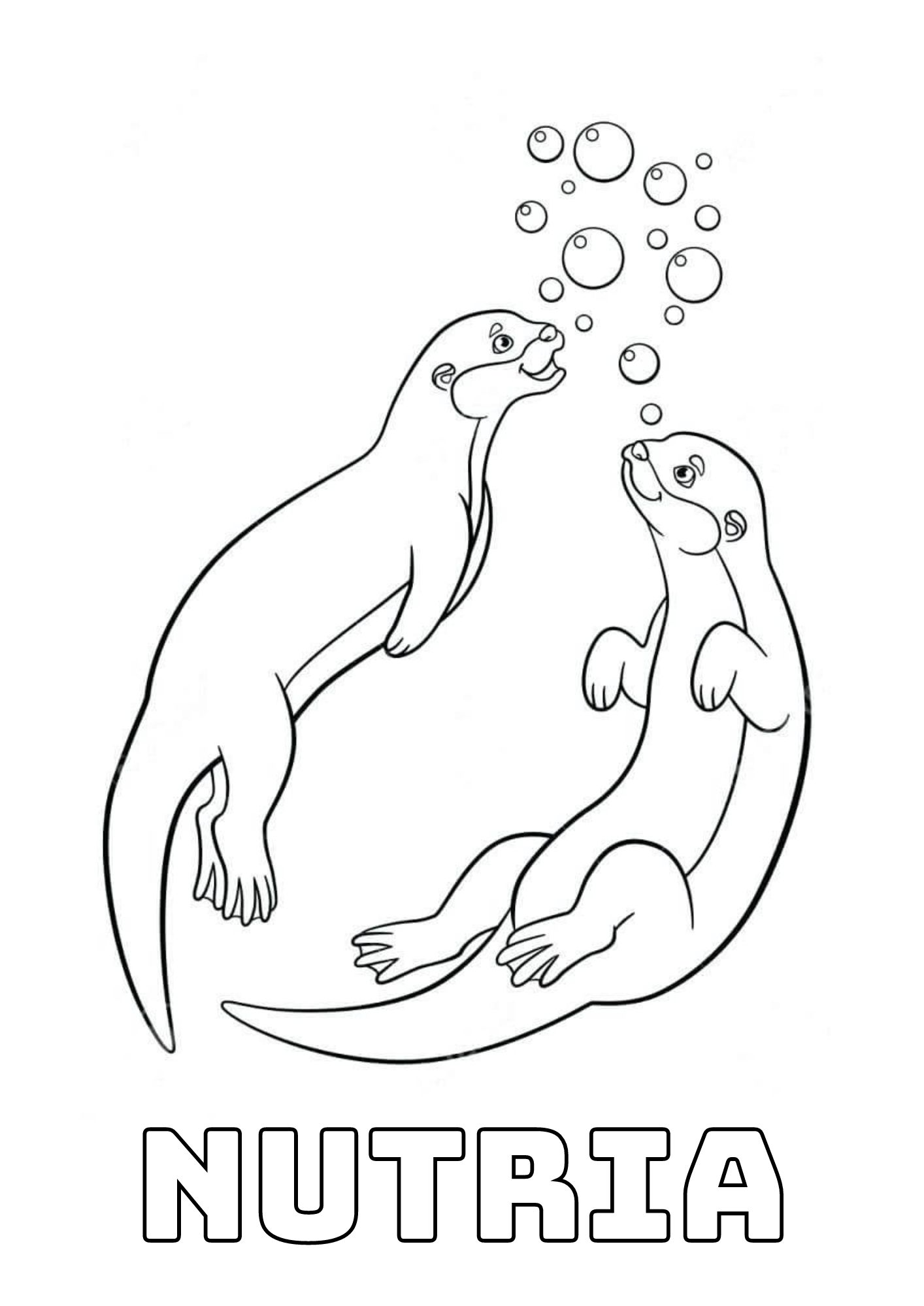 páginas para colorear de preescolar Nutria para colorear 2