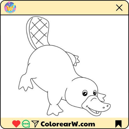 Ornitorrinco para colorear thumbnail