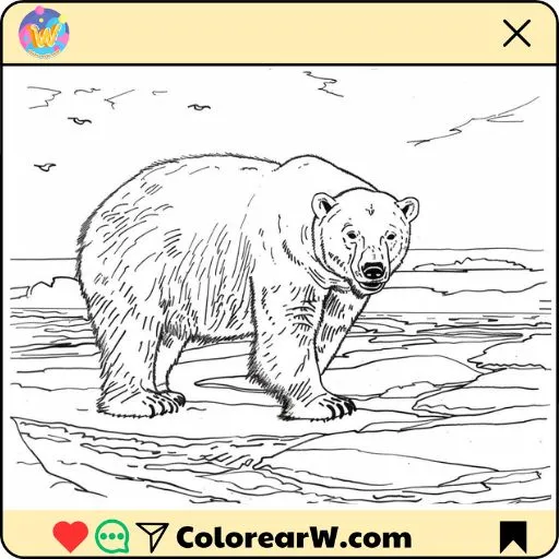 Osos Polares para colorear thumbnail