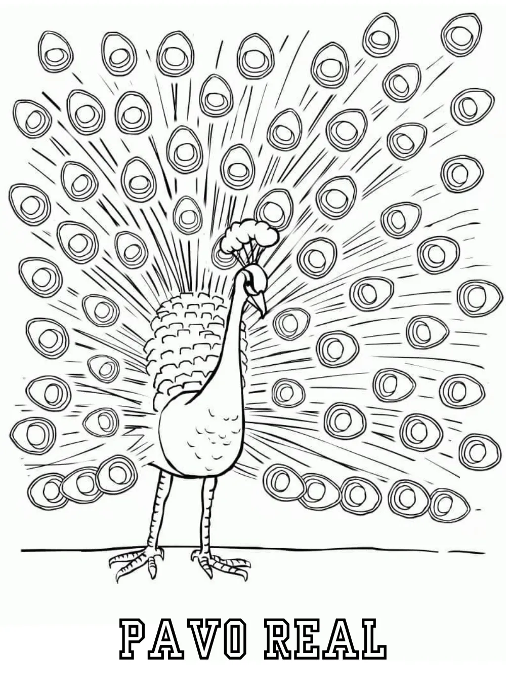 Pavo Real 39 Pavo real para colorear páginas para colorear para imprimir gratis 2