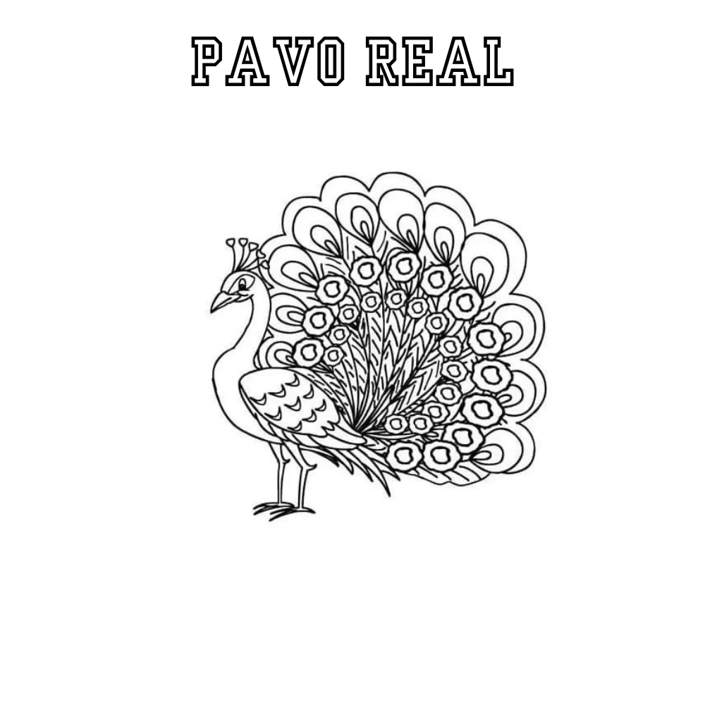 Pavo Real 44 páginas para colorear gratis Pavo real para colorear pdf