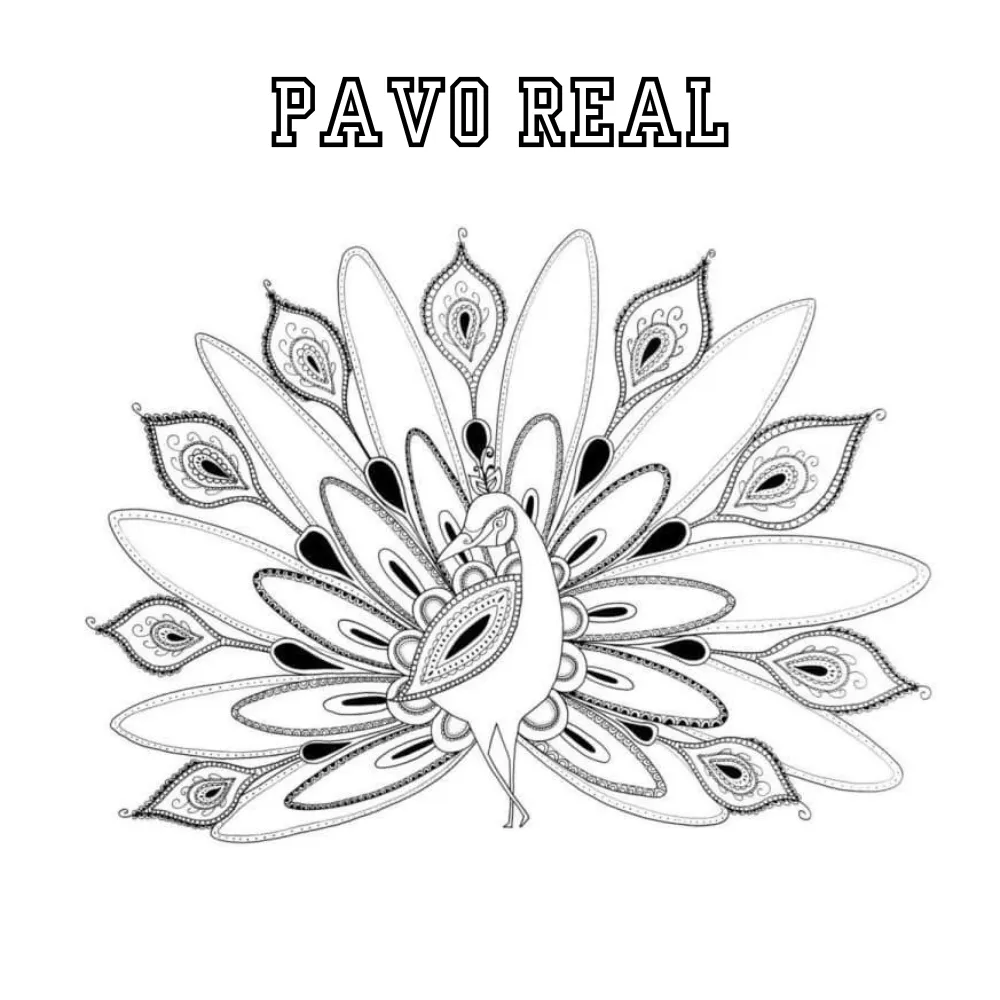 Pavo Real 46 Pavo real para colorear páginas para colorear de adornos