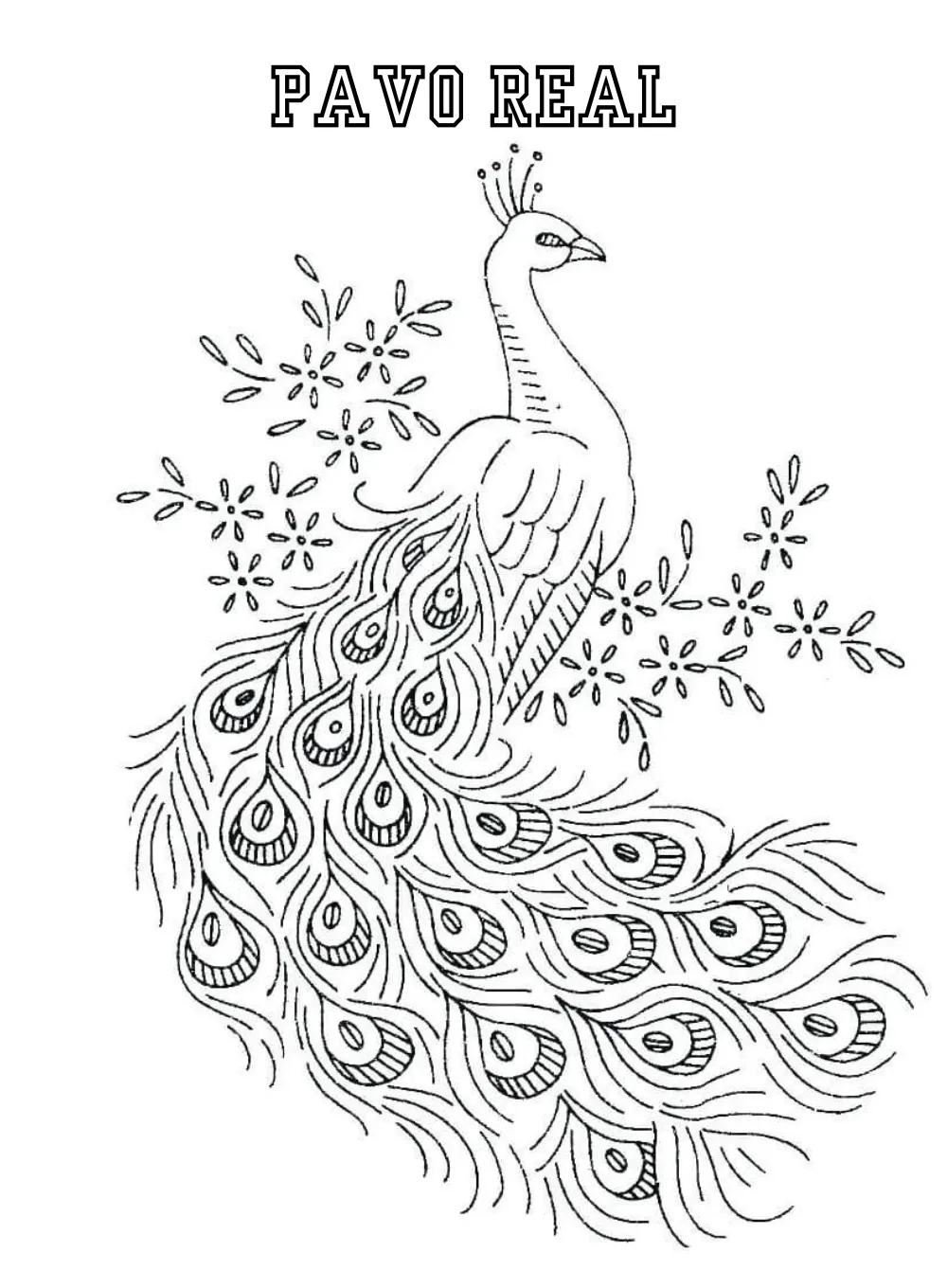 Pavo Real 47 Pavo real para colorear páginas para colorear para adultos 1
