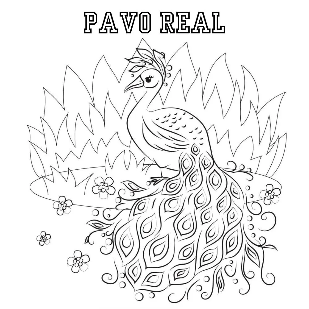 Pavo Real 48 páginas para colorear Pavo real para colorear imprimibles 1