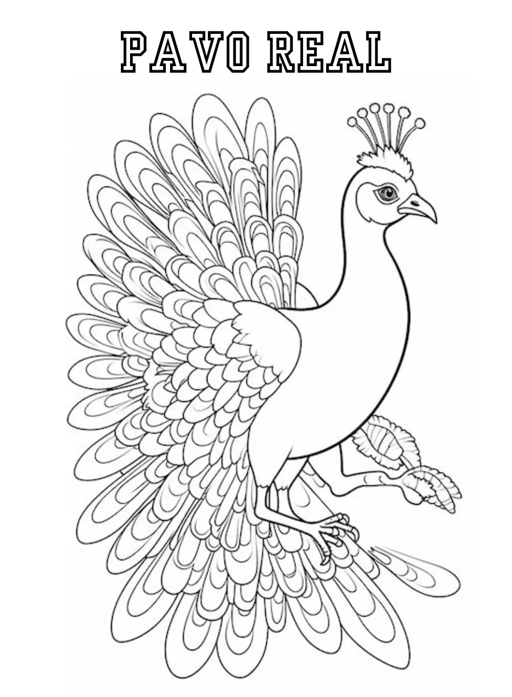 Pavo Real 24 páginas para colorear Pavo real para colorear imprimibles