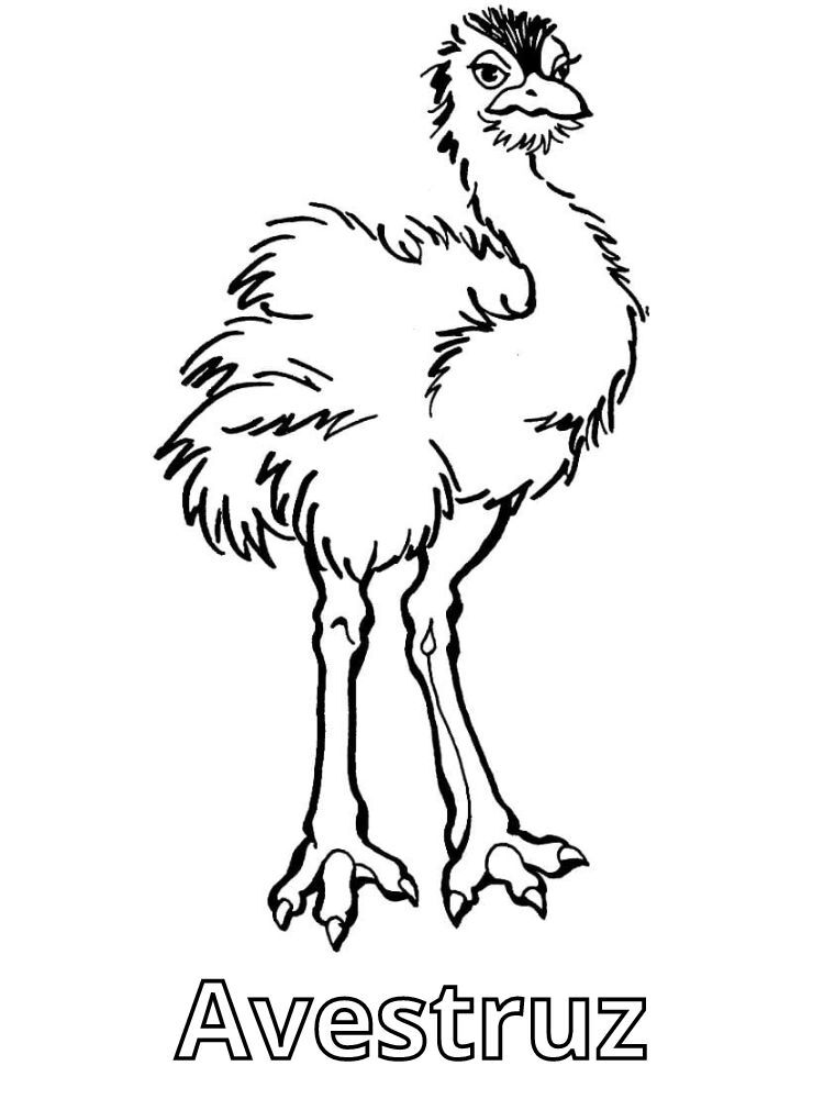 Avestruz 39 dibujos para colorear grinch Avestruz para colorear 3