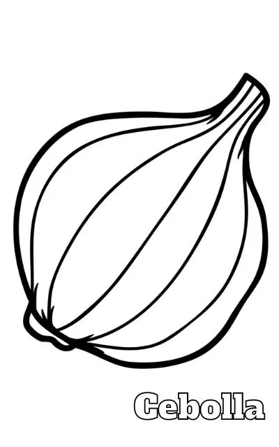 Cebolla 26 Cebolla páginas para colorear para imprimir gratis