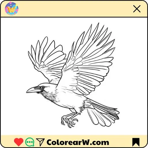 Cuervo para colorear thumbnail