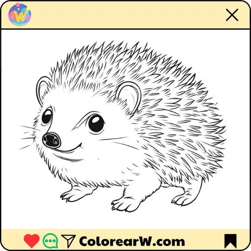 Erizo 1 Erizo para colorear thumbnail