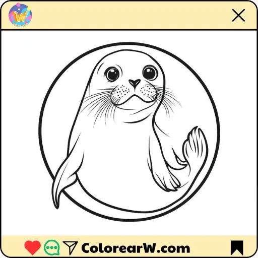 Foca para colorear thumbnail