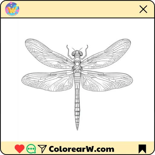 Libélula 1 Libélula para colorear thumbnail